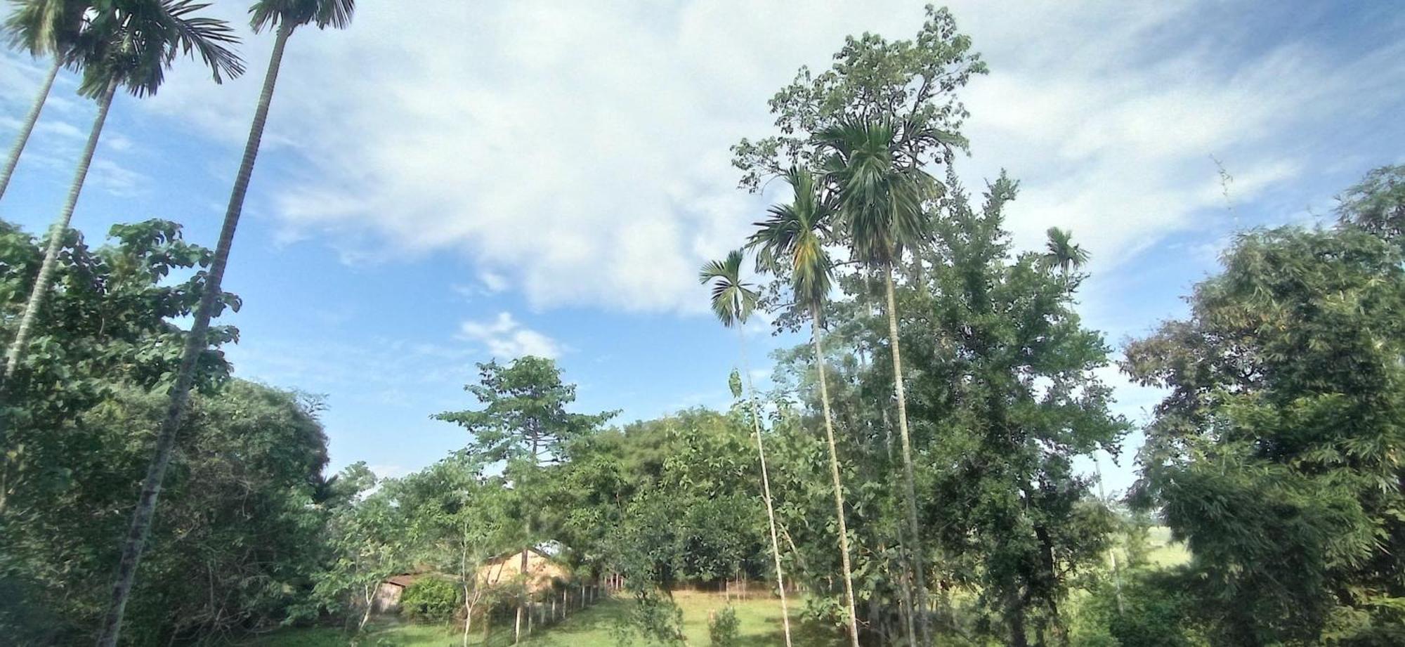 Hotel Kaziranga Holidays Экстерьер фото